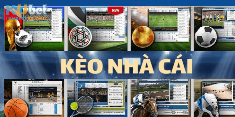 Hướng dẫn chi tiết cách đọc kèo nhà cái Kubet