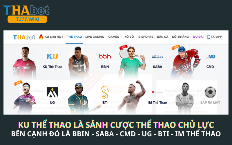 Đắm chìm trong thế giới thể thao đa dạng, từ truyền thống đến esports với tỷ lệ cược hấp dẫn